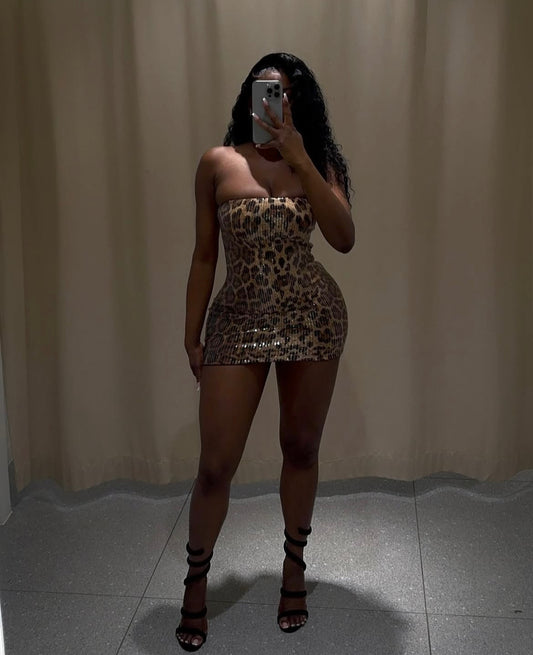 Leopard Print Dress